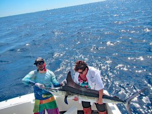 Striped Marlin fished in Cabo San Lucas on 10/29/19