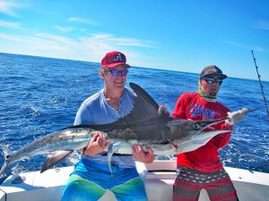 Striped Marlin fished in Cabo San Lucas on 11/8/19