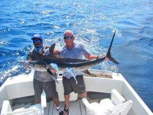 Striped Marlin fished in Cabo San Lucas on 11/10/19