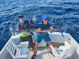 Striped Marlin fished in Cabo San Lucas on 11/19/19