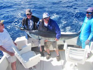 Striped Marlin fished in Cabo San Lucas on 11/24/19