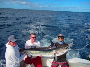 Striped Marlin fished in Cabo San Lucas on 12/11/19