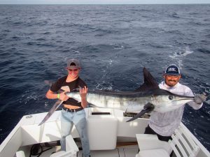 Striped Marlin fished in Cabo San Lucas on 12/27/19