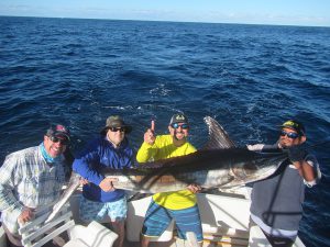 Striped Marlin fished in Cabo San Lucas on 1/2/20