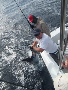 120 lb Striped Marlin fished in Cabo San Lucas on 1/8/20