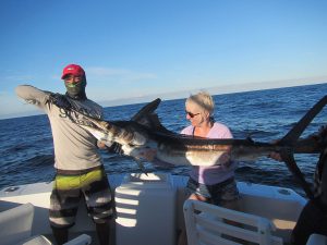 120 lb Striped Marlin fished in Cabo San Lucas on 1/23/20