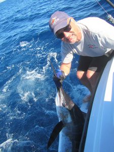 120 lb Striped Marlin fished in Cabo San Lucas on 1/29/20