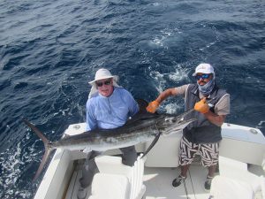 130 lb Striped Marlin fished in Cabo San Lucas on 1/30/20