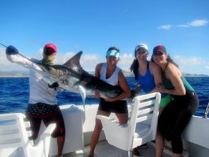 100 and 120 lb Striped Marlin fished in Cabo San Lucas on 2/3/20