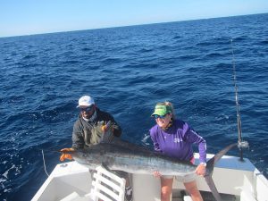 120 lb Striped Marlin fished in Cabo San Lucas on 2/5/20