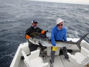 120 and 130 lb Striped Marlin fished in Cabo San Lucas on 2/11/20