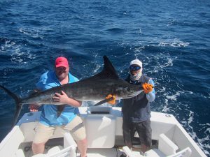 140 lb Striped Marlin fished in Cabo San Lucas on 2/18/20