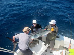 110 and 120 lb Striped Marlin fished in Cabo San Lucas on 2/19/20