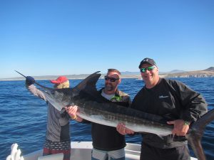 140 lb Striped Marlin fished in Cabo San Lucas on 2/25/20