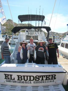 Eight Yellowfin Tuna fished in Cabo San Lucas on 3/5/20