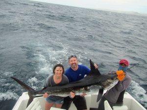 120 and 140 lb Striped Marlin fished in Cabo San Lucas on 3/15/20