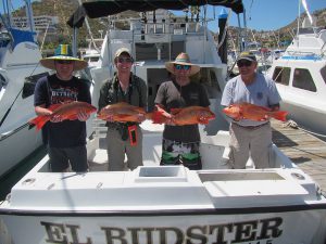 Eight Red Snappers fished in Cabo San Lucas on 3/16/20