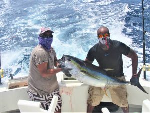 Catch and release of 120 lb Striped Marlin on 9/13/20