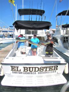 Fishing ten DORADO in Cabo San Lucas on 9/28/20