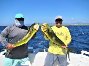 Catch and release of 120 lb Striped Marlin and 80 lb Pacific Sailfish on 10/8/20