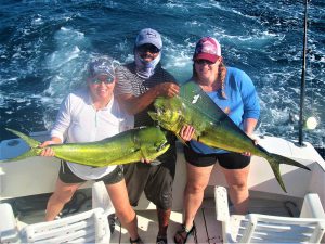 Catch & release 120 lb Striped Marlin in Cabo San Lucas on 10/23/20