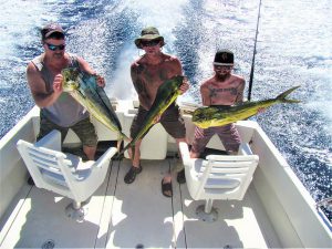 Catch & release 120 lb Striped Marlin in Cabo San Lucas on 10/29/20