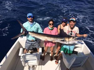 Catch & release 120 lb Striped Marlin in Cabo San Lucas on 11/7/20