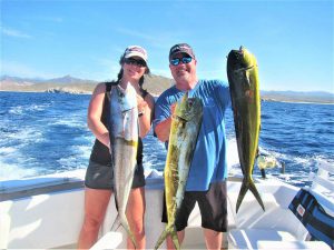 Caught ten DORADO in Cabo San Lucas on 11/18/20