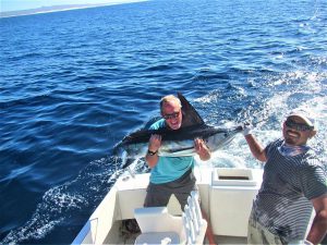 Catch & release 120 lb Striped Marlin in Cabo San Lucas on 12/2/20