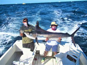 Catch & release 120 and 140 lb Striped Marlin in Cabo San Lucas on 1/2/2021