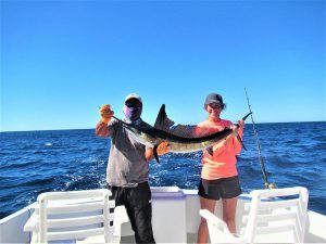 Catch and release two STRIPED MARLIN. 110 LB. and 35 LB in Cabo San Lucas on 1/17/21