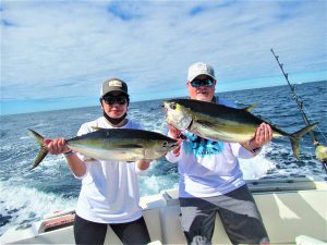 Catch & release 130 lb Striped Marlin in Cabo San Lucas on 1/22/2021