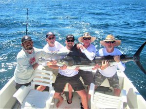 Catch & release 120 lb Striped Marlin in Cabo San Lucas on 3/15/2021