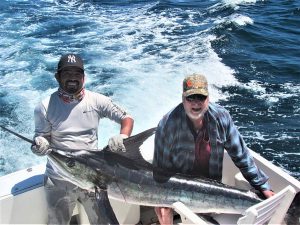 Catch & release 120 and 130 lb Striped Marlin in Cabo San Lucas on 3/17/2021