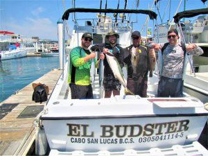 Caught Yellowtail, Skipjack and Sierra Mackerel in Cabo San Lucas on 4/4/21