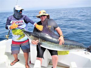 Caught  and released 3 Striped Marlin, 100, 120 and 140 lb, in Cabo San Lucas on 4/6/21