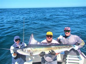 Caught  and released 4 Striped Marlin in Cabo San Lucas on 4/24/21