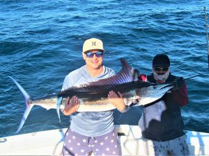 Caught  and released 100 lb Striped Marlin in Cabo San Lucas on 4/30/21