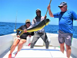 Caught  and released 120 lb Striped Marlin in Cabo San Lucas on 5/4/21