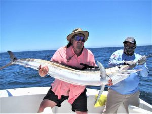 Caught  and released 120 and 140 lb Striped Marlin in Cabo San Lucas on 5/5/21