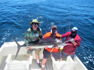 Catch & release 90 LB, 120 LB and 130 LB. Striped Marlin in Cabo San Lucas on 5/20/2021