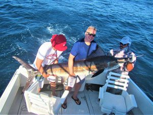 Catch & release 110 LB. 120LB. 100 LB. and 140 LB Striped Marlin in Cabo San Lucas on 6/7/2021