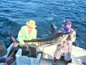 Catch & release 100 LB 120 LB 100 LB and 130 LB Striped Marlin in Cabo San Lucas on 6/19/2021