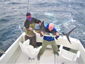 Catch & release 100 LB and 130 LB Striped Marlin in Cabo San Lucas on 6/20/2021