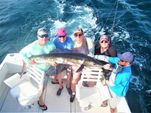 Catch & release 120 LB Striped Marlin in Cabo San Lucas on 6/24/2021