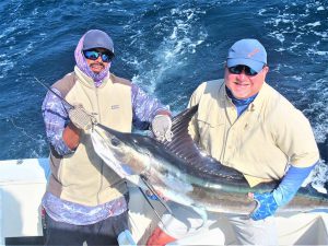 Catch & release 110 and 120 LB Striped Marlin in Cabo San Lucas on 7/1/2021