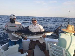 Caught and released 120 and 110 lb Striped Marlin in Cabo San Lucas on 7/3/21