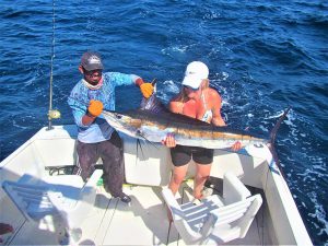 Caught and released 100 and 120 LB. Striped Marlin in Cabo San Lucas on 11/23/2021